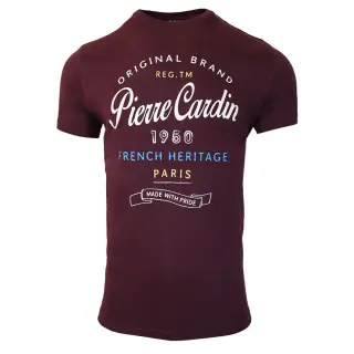 تیشرت مردانه برند Pierre Cardin